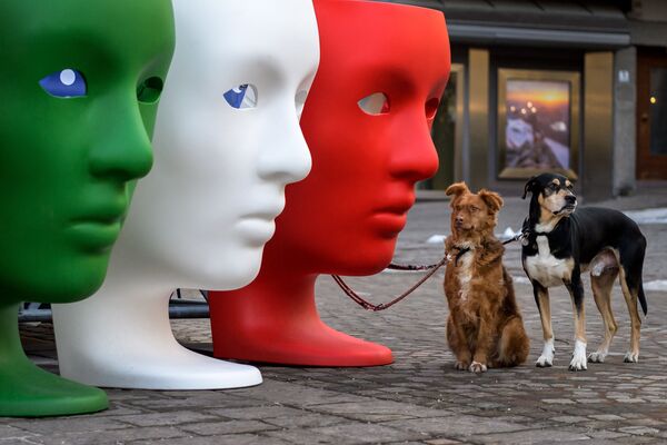 Собаки, ожидающие своего хозяина рядом с пластиковыми сиденьями, изображающими лица цвета итальянского флага - Sputnik Молдова
