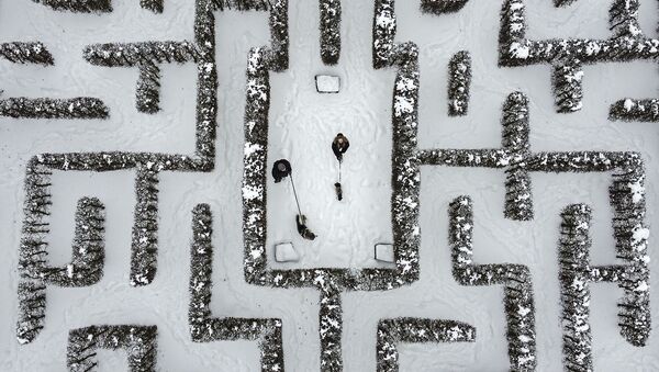 Trecători cu câini în mijlocul unui labirint de gard viu acoperit de zăpadă în Gelsenkirchen, Germania - Sputnik Moldova-România