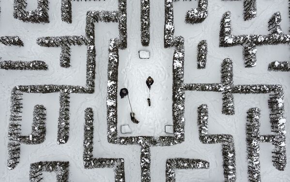 Trecători cu câini în mijlocul unui labirint de gard viu acoperit de zăpadă în Gelsenkirchen, Germania - Sputnik Moldova-România