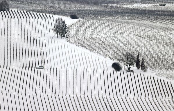 Podgoriile acoperite de zăpadă în Germania. - Sputnik Moldova-România