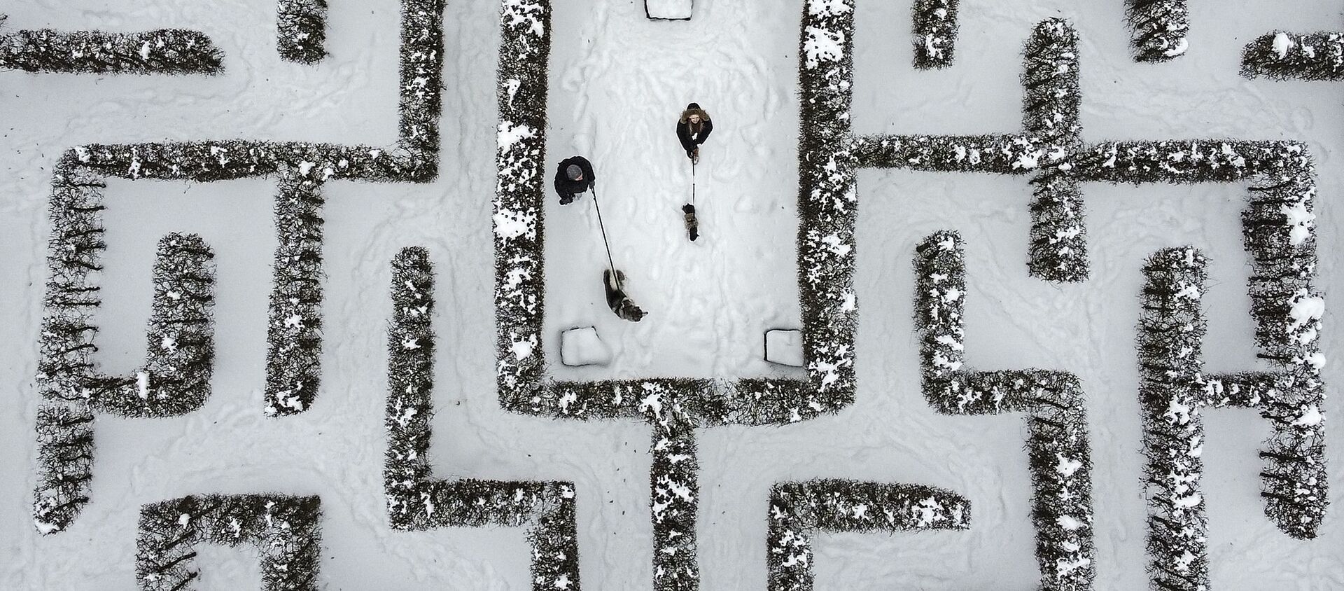 Oameni cu câini la plimbare în mijlocul unui labirint de gard viu acoperit de zăpadă, Gelsenkirchen, Germania. - Sputnik Moldova, 1920, 15.02.2021