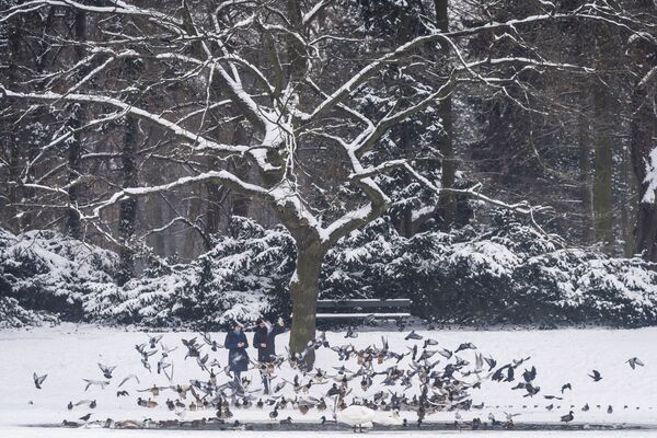 Люди кормят птиц в парке в Варшаве  - Sputnik Молдова