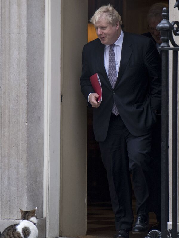 Министр иностранных дел Великобритании Борис Джонсон и кот Ларри у входа в резиденцию британских премьеров на Даунинг-стрит, 10 в Лондоне, Великобритания - Sputnik Молдова