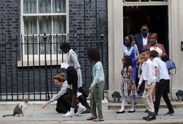 Школьники пытаются погладить кота Ларри после встречи с премьер-министром Великобритании Борисом Джонсоном на Даунинг-стрит, 10 в Лондоне, Великобритания - Sputnik Молдова