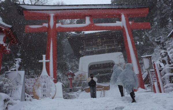 Последствия сильнейшего за 13 лет снегопада в Токио, февраль 2014 года - Sputnik Молдова