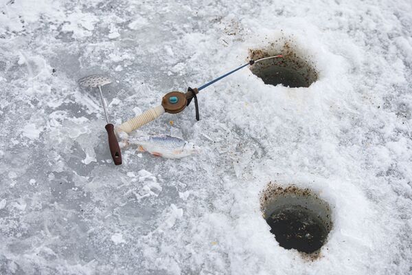 Zeci de pescari, pe gheața lacului Ghidighici - Sputnik Молдова