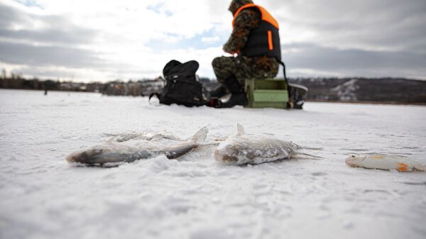 Zeci de pescari, pe gheața lacului Ghidighici - Sputnik Moldova