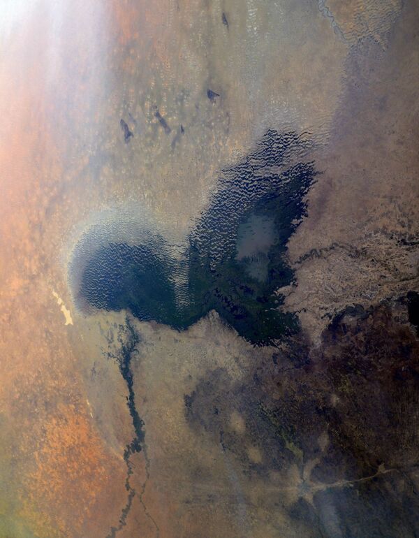 Африканское озеро Чад - Sputnik Молдова