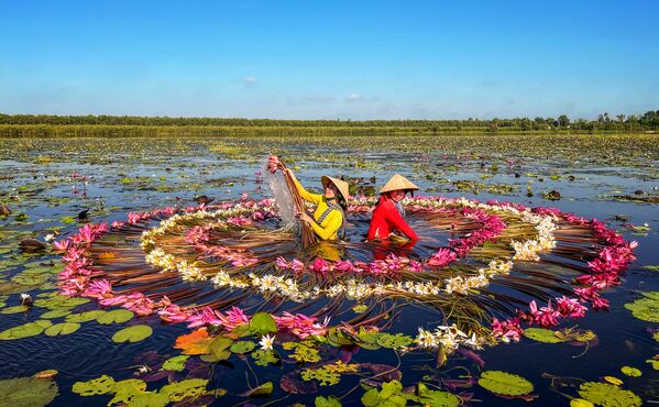 Снимок Wash Water Lilies вьетнамского фотографа Tuan Nguyen Tan, высоко оцененный в категории Travel & Adventure в конкурсе 10th Mobile Photography Awards - Sputnik Молдова