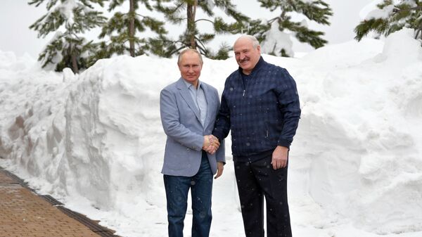 Президент РФ В. Путин встретился с президентом Белоруссии А. Лукашенко - Sputnik Молдова