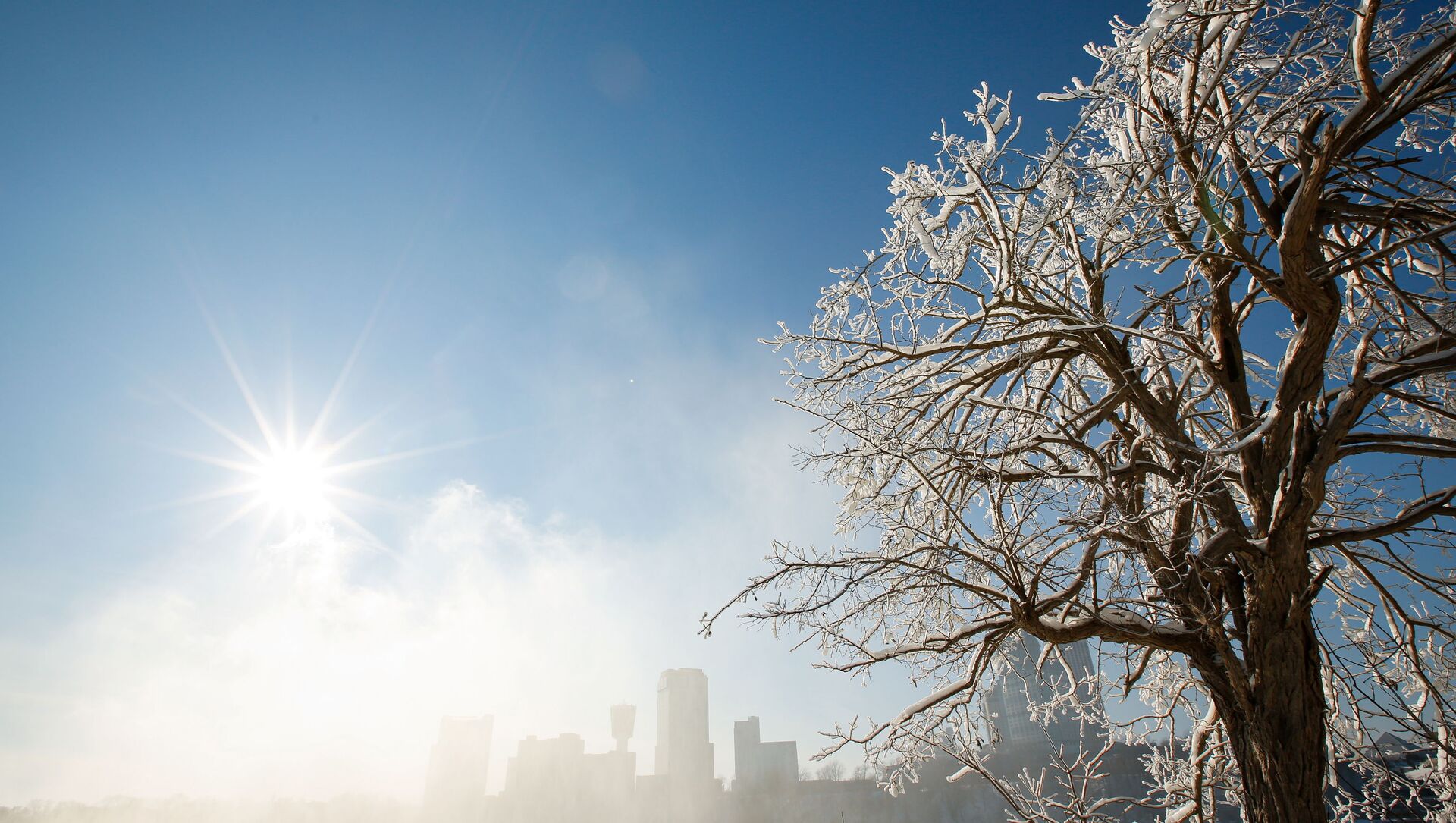 Покрытые льдом деревья в городе Ниагара-Фолс в штате Нью-Йорк  - Sputnik Moldova, 1920, 05.03.2021
