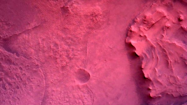 Фотографии, снятые исследовательским аппаратом NASA's Perseverance Mars Rover с помощью камеры Rover Down-Look Camera - Sputnik Moldova-România