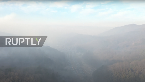 Incendii forestiere în Japonia - Sputnik Moldova