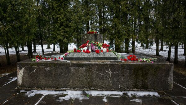 Мемориал освободителям и Героям Советского Союза в Крустпилсском парке в Екабпилсе - Sputnik Молдова