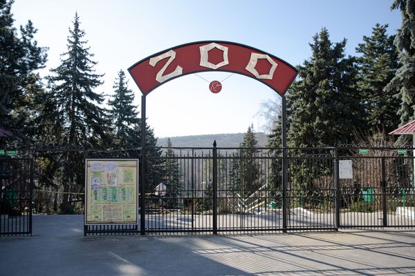 Noile specii de animale de la Grădina Zoologică - Sputnik Moldova