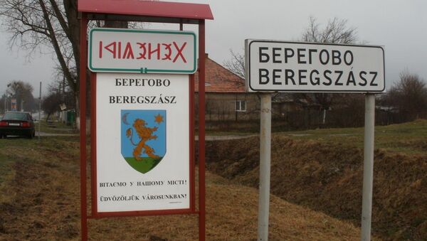 Надпись на украинском и венгерских языках на знаке при въезде в город Берегово в Закарпатской области Украины. Архивное фото - Sputnik Moldova