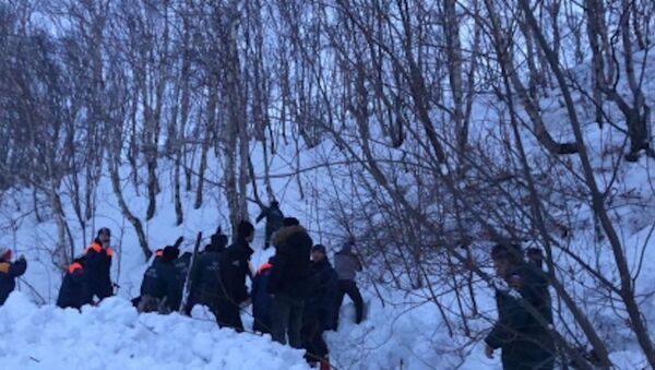 На Камчатке один человек погиб из-за схода лавины - Sputnik Молдова