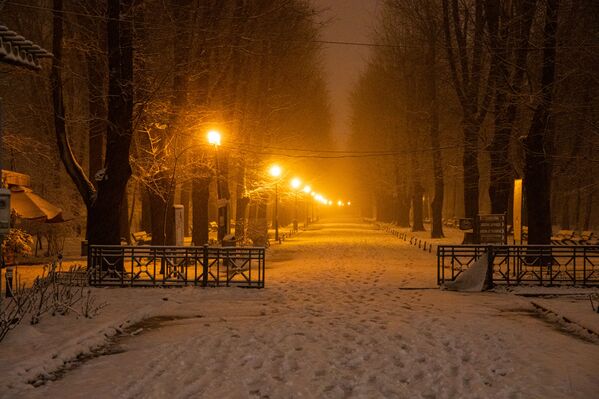 Ninsoare de primăvară în București. Parcul „Regele Mihai I” acoperit de zăpadă - Sputnik Moldova-România