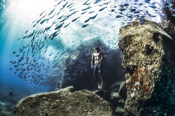Снимок Andre Fajardo freediving early one summer morning фотографа из США Christa Funk, занявший первое место в категории People and nature  конкурса World Nature Photography Awards 2020 - Sputnik Молдова