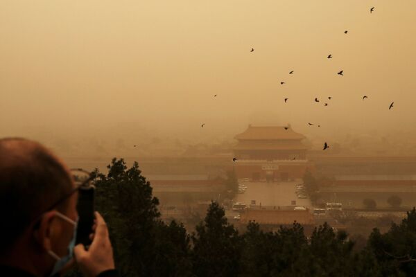 Посетитель на смотровой площадке во время песчаной бури в Пекине  - Sputnik Молдова