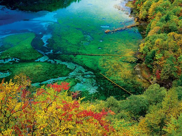 Озеро Five Flower Lake в Китае  - Sputnik Молдова