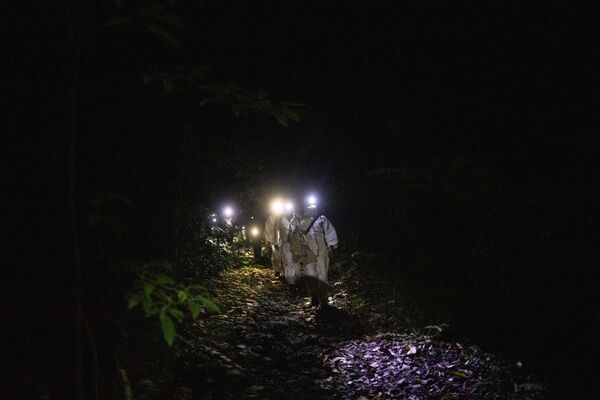 Экологи с пойманными летучими мышами у подножия горы Макилинг, Филиппины - Sputnik Moldova-România