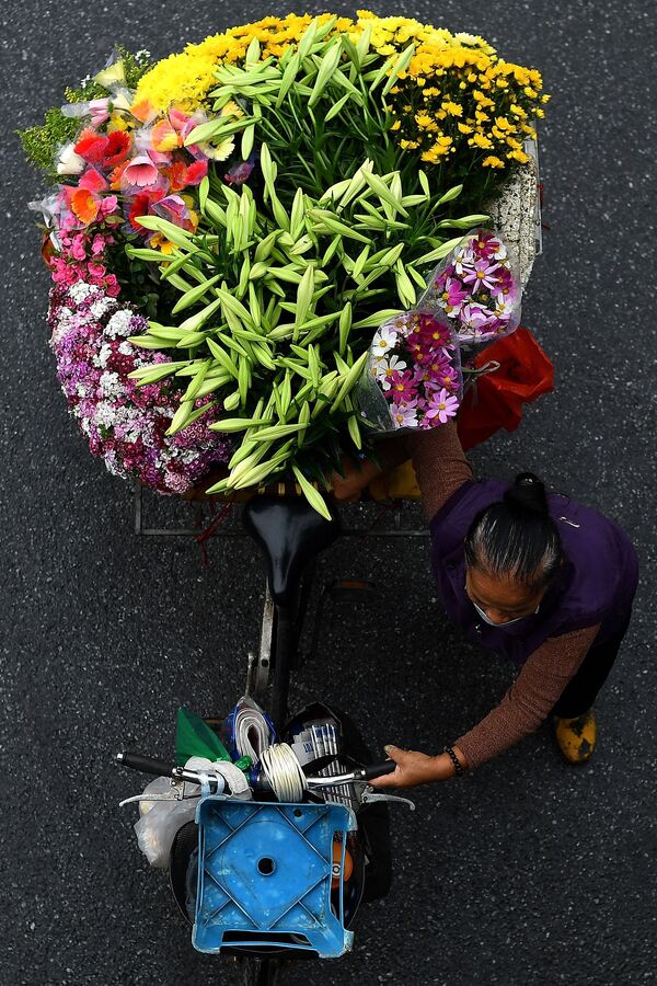 Продавец со цветами на велосипеде в Ханое  - Sputnik Молдова