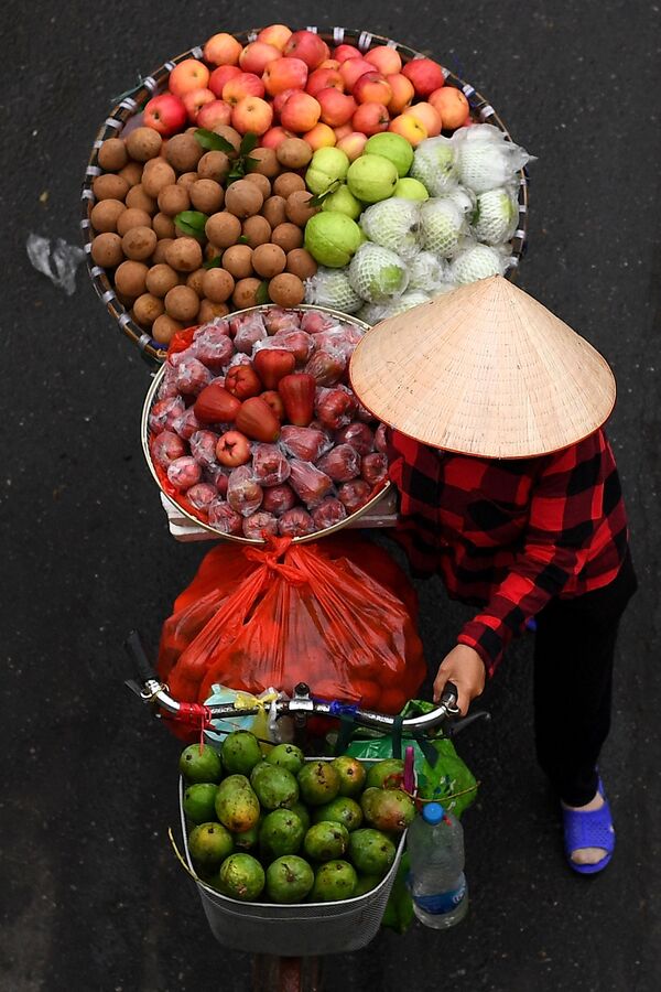 Продавец с фруктами на велосипеде в Ханое  - Sputnik Молдова