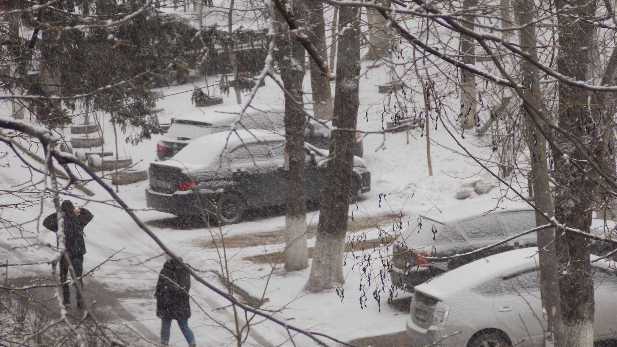снегопад в апреле кишинева. снегопад в молдове в апреле 2016. кишинев ютуб видео. фото снегопада на юге молдовы. снегопад в молдове.