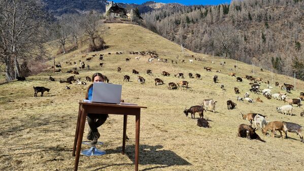10-летняя Фиамметта во время онлайн-урока в окружении коз своего отца-пастуха на пастбище в Кальдесе, Италия - Sputnik Молдова