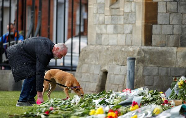 Скорбящий в сопровождении своей собаки кладет цветы у Виндзорского замка после сообщения о смерти принца Филиппа - Sputnik Молдова