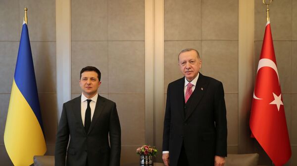 Recep Tayyip Erdogan și Volodimir Zelenski  - Sputnik Moldova