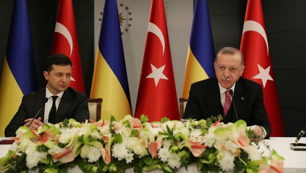 Recep Tayyip Erdogan și Volodimir Zelenski - Sputnik Moldova-România