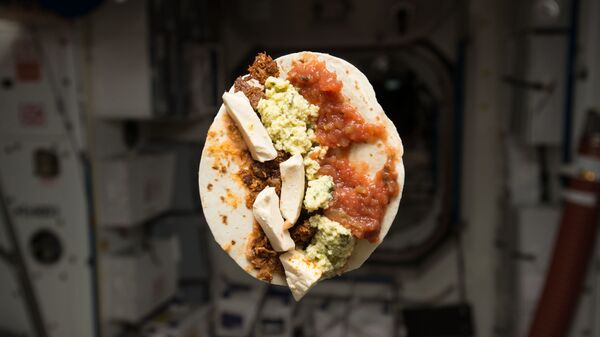Завтрак американского астронавта Тимоти Леннарта Копры на МКС  - Sputnik Молдова