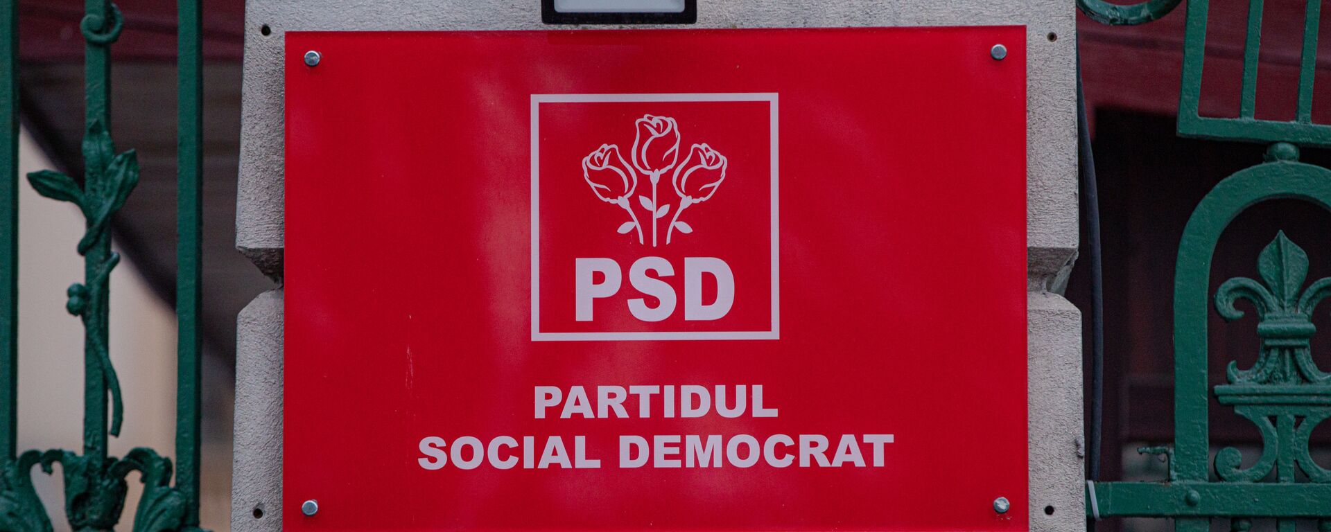 Partidul Social Democrat din România - Sputnik Moldova-România, 1920, 16.10.2021