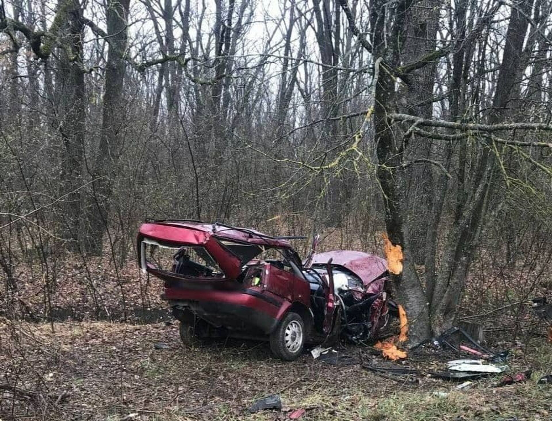 Accident teribil la Ocnița: mașina a rupt copacul - morți și răniți   - Sputnik Moldova, 1920, 15.04.2021