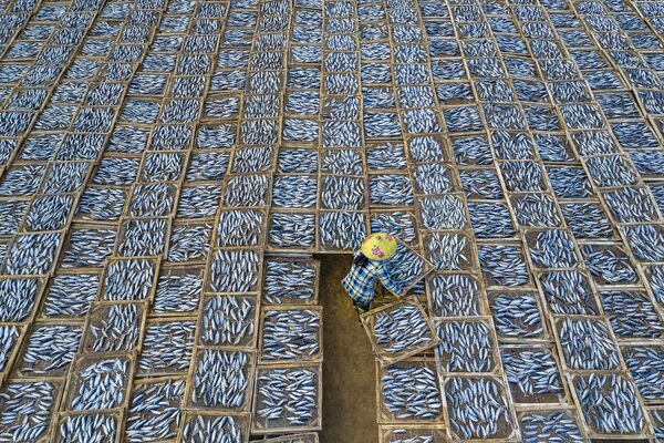 Снимок Drying Fish вьетнамского фотографа Khanh Phan, победивший в категории Open Travel фотоконкурса 2021 Sony World Photography Awards - Sputnik Молдова