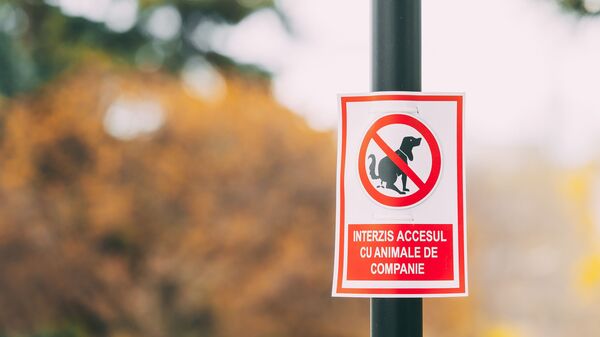 Interzis accesul cu animale de companie - Sputnik Moldova