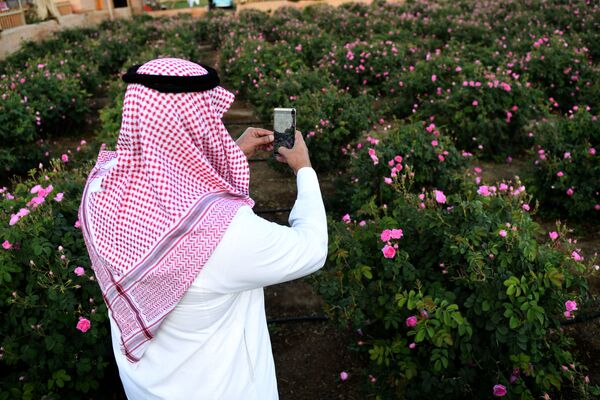 Мужчина из Саудовской Аравии делает снимок розового сада в городе Эт-Таиф - Sputnik Moldova