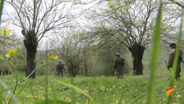 Российские миротворцы продолжают обеспечивать безопасность проведения сельхоз работ в Карабахе - Sputnik Молдова