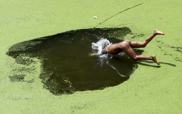 Мальчик прыгает в пруд, покрытый водорослями, в Киртипуре  - Sputnik Молдова