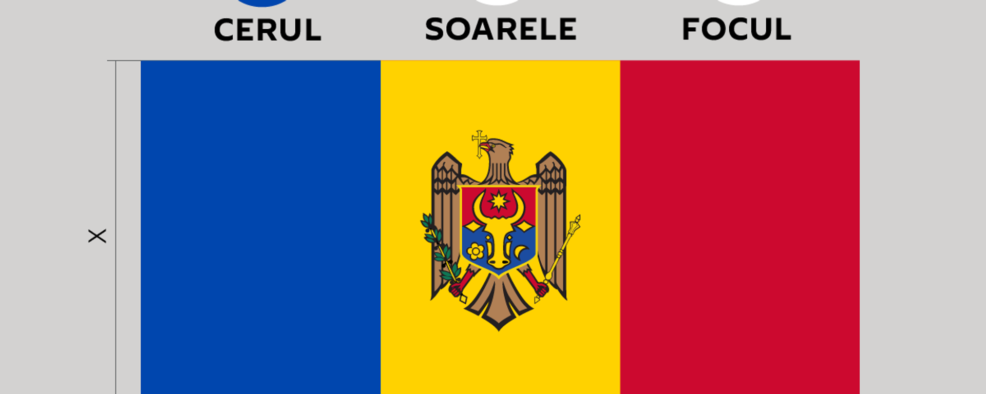 Drapelul Republicii Moldova - Sputnik Moldova, 1920, 27.04.2021
