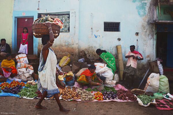 Снимок Odisha Tribal Markets индийского фотографа Indigo Larmour, победивший в категории Young - 11 - 14 конкурса 2021 Pink Lady® Food Photographer of the Year - Sputnik Молдова