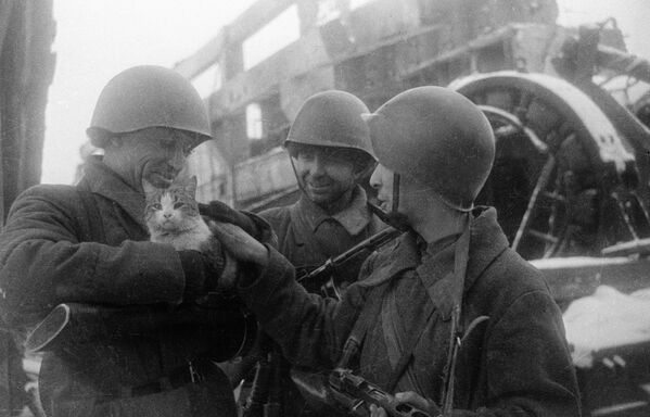 Мирные воспоминания. Сталинград, 1943 год - Sputnik Молдова