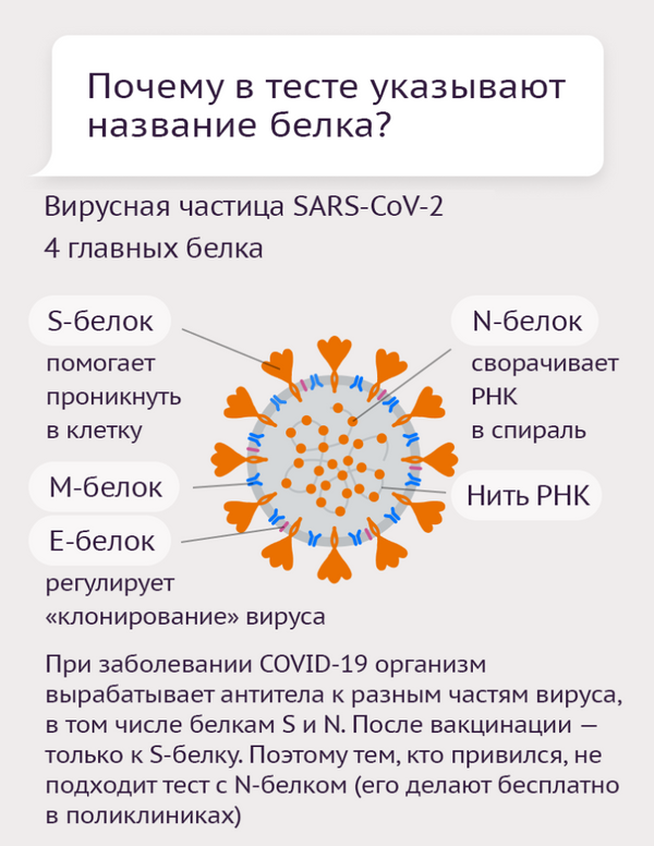 Тесты на антитела  - Sputnik Молдова
