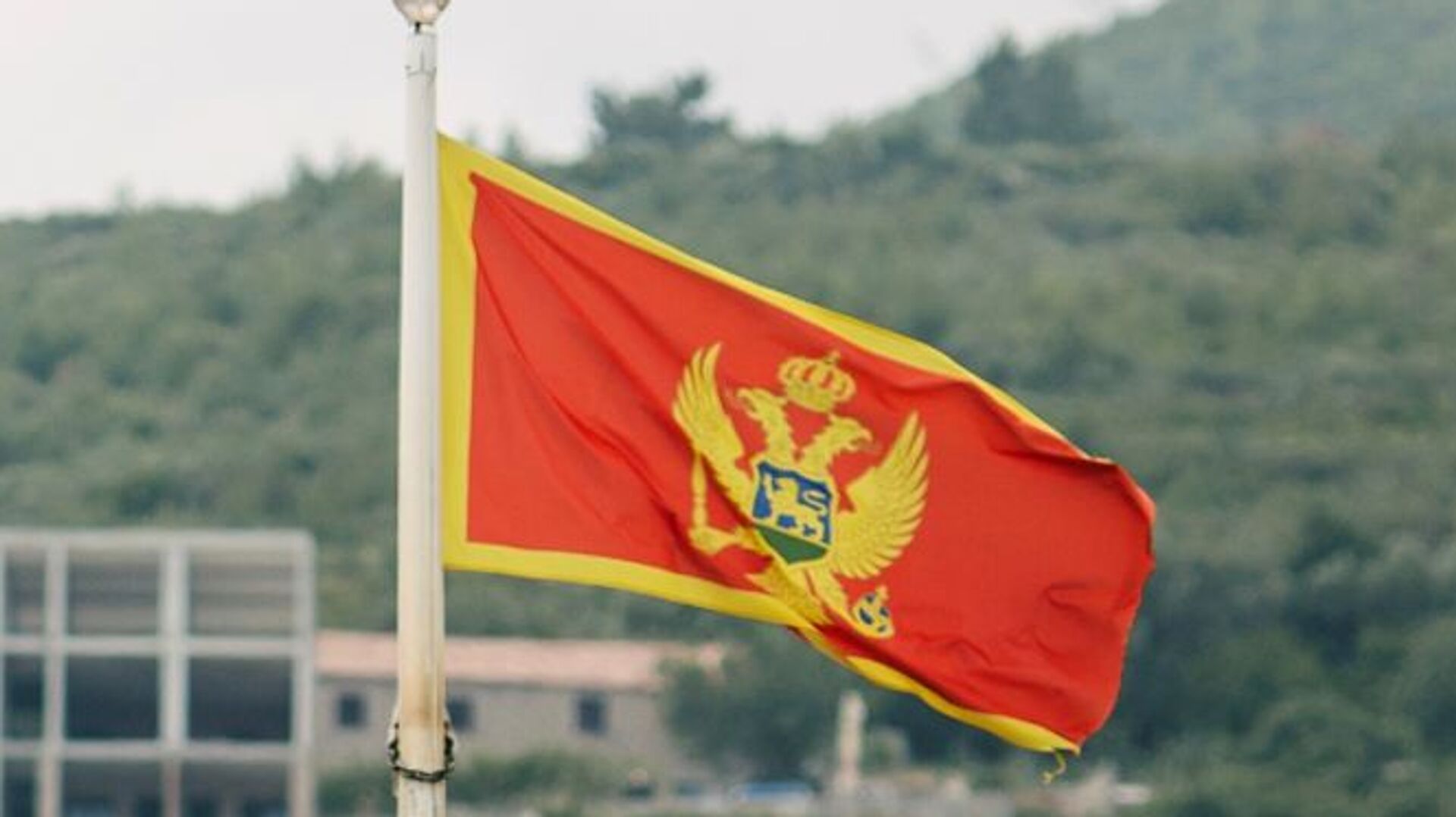 Drapelul național al Republicii Muntenegru - Sputnik Moldova-România, 1920, 03.04.2023