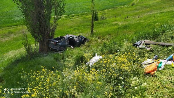 Un bărbat a murit, iar alți patru pasageri au ajuns la spital în urma unui accident rutier la Cahul  - Sputnik Moldova