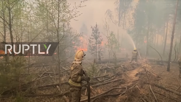 Russia: Firefighters battle wildfires in Siberia's Tyumen region - Sputnik Moldova