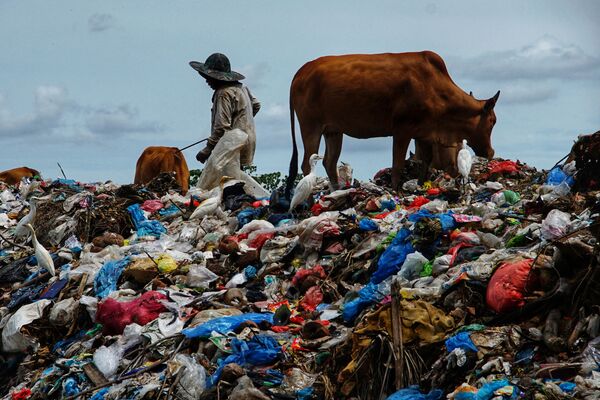 Пастух пасет коров на мусорной свалке, образовавшейся после праздника Ид аль-Фитр, Индонезия - Sputnik Молдова