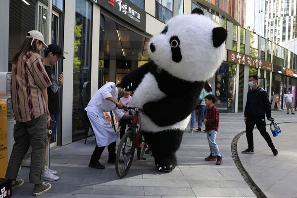 Человек в костюме панды с велосипедом в Пекине. - Sputnik Молдова